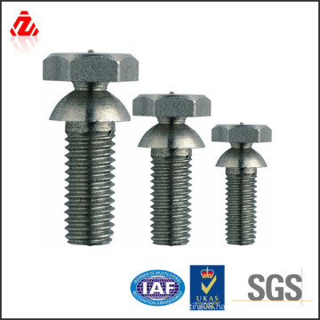 custom high strength torque shear bolt